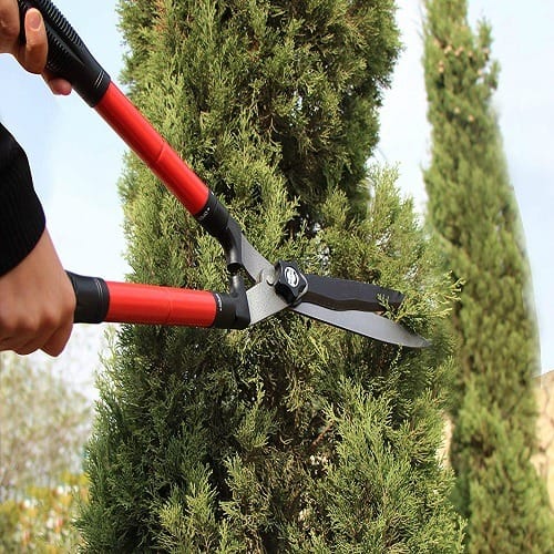 Garden Hedge Shears - Trims Border and Grasses - Image 2