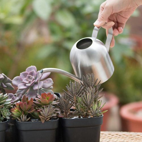 Watering Pot, 1 Ltr - Image 2