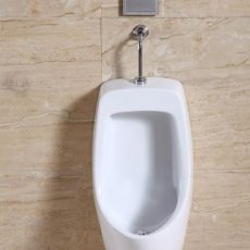 Urinal Bowl