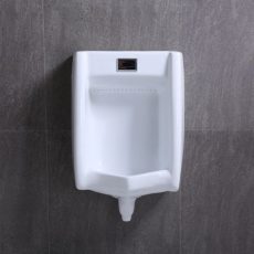 Sensor Urinal Bowl 02