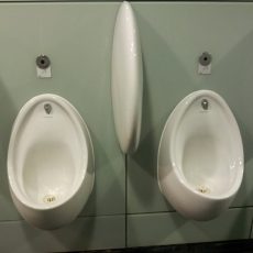 Urine Basin
